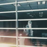 Orchid Mantis - Dead Malls