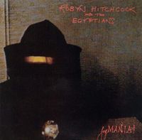 Robyn Hitchcock & the Egyptians - Fegmania!