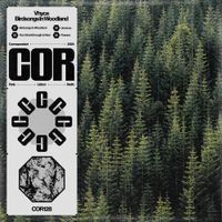 Vhyce - Birdsongs In Woodland