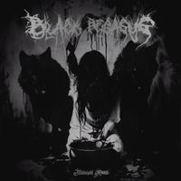 Black Pegasus - Midnight Room