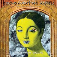 Nurse with Wound - The Continuous Accident / Circumventing Angels