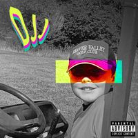 DJJ - CREATING ALLEGATIONS