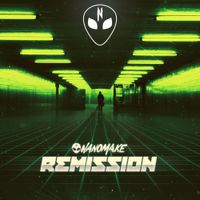 Nanomake - Remission