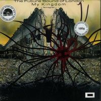 The Future Sound Of London - My Kingdom Re-imagined