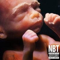 Shed Theory - NATURAL BORN THEORISTS