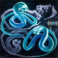 NANE - &Icirc;NCĂ &Icirc;N VIAȚĂ: albumul