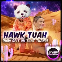 SPACE_PANDA - HAWK TUAH (SPIT ON THAT THANG)
