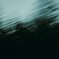Shameless. - icarus