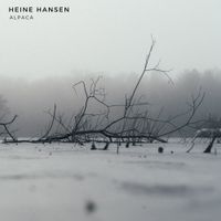 Heine Hansen - Alpaca
