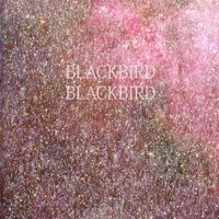 Blackbird Blackbird - Summer Heart