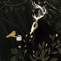 M E G A F A U N A - I Owe This Land a Body