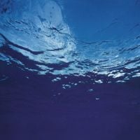 Akira Ito - Marine Flowers (Science Fantasy)