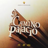 Cerounno & Vinyltracker - De Camino Al Palacio