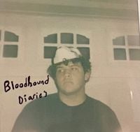 Nebula Control - Bloodhound Diaries