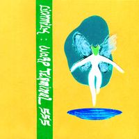 Lionmilk - WARP TERMINAL 555