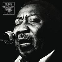 Muddy Waters - Muddy "Mississippi" Waters Live