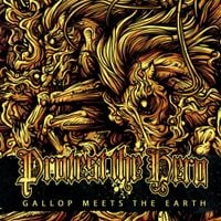 Protest The Hero - Gallop Meets the Earth