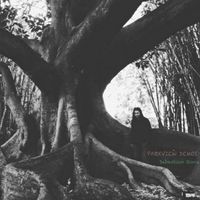 Sebastian Roca - Parkview Demos
