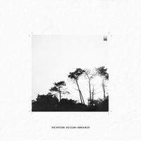 The Offline - En Clair​-​Obscur