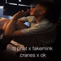 fakemink - Galaxy Pavillion Club