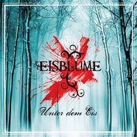 Eisblume - Unter dem Eis
