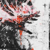 vai5000 - re:raid