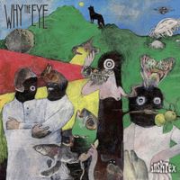 Why The Eye ? - Inspirex