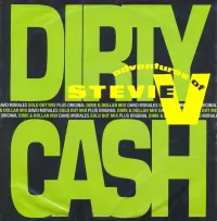 The Adventures Of Stevie V - Dirty Cash (Money Talks)