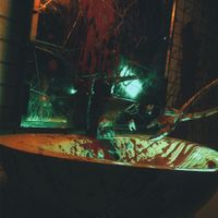 STVG - Dead That | Grey Gums
