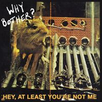 Why Bother? - Hey, At Least You're Not Me