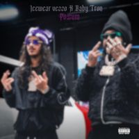 Icewear Vezzo - Possum
