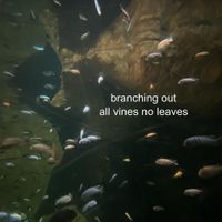 Branching Out - all vines no leaves