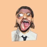 WHO SHOT SCOTT - THE DATA