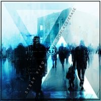 Stray View - Displace/Erase