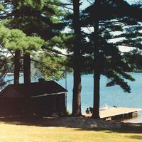 The Creeps - Beneath the Pines