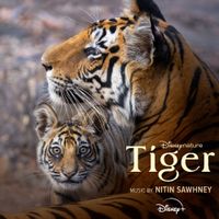 Nitin Sawhney - Tiger
