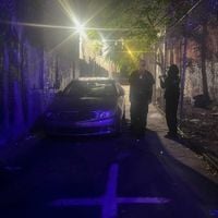 Żabson - MAGIC CITY