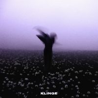 TEMMIS - Klinge