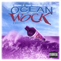 DRODi - OCEAN OF WOCK