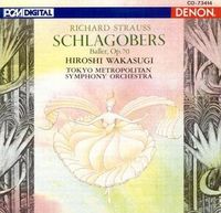 Hiroshi Wakasugi - Schlagobers
