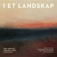Tora Augestad - I et landskap