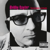 Bobby Gaylor - Fuzzatonic Scream