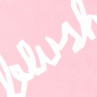 Perfect Blush - perfect blush