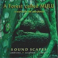 A Forest Called Mulu - A Search for the Unexplored