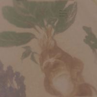 thekitchenfloor - the slow release of pressure