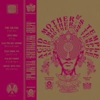 Acid Mothers Temple & the Melting Paraiso U.F.O. - Levitation Sessions