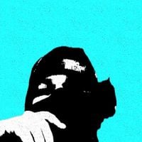 Maniac - Zoomer Punk