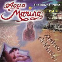 Agua Marina - Quiero Olvidarte