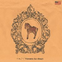 Girlfactory - ✩ Triometric *​𝖊​ͣ​͢​s​𝗎​n​-​Bleach​&deg;​&bull;​