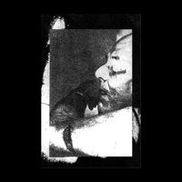 Shredded Nerve - Final Vision